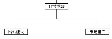 互联网+大数据驱动型企业：IT技术部（网站建设、市场推广）