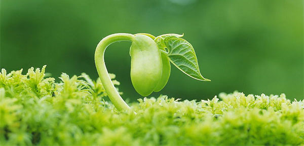 企业数字化经营转型升级 企业数字化经营转型升级